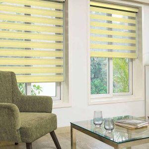 Zebra blind