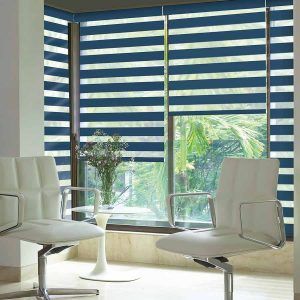 Zebra blind