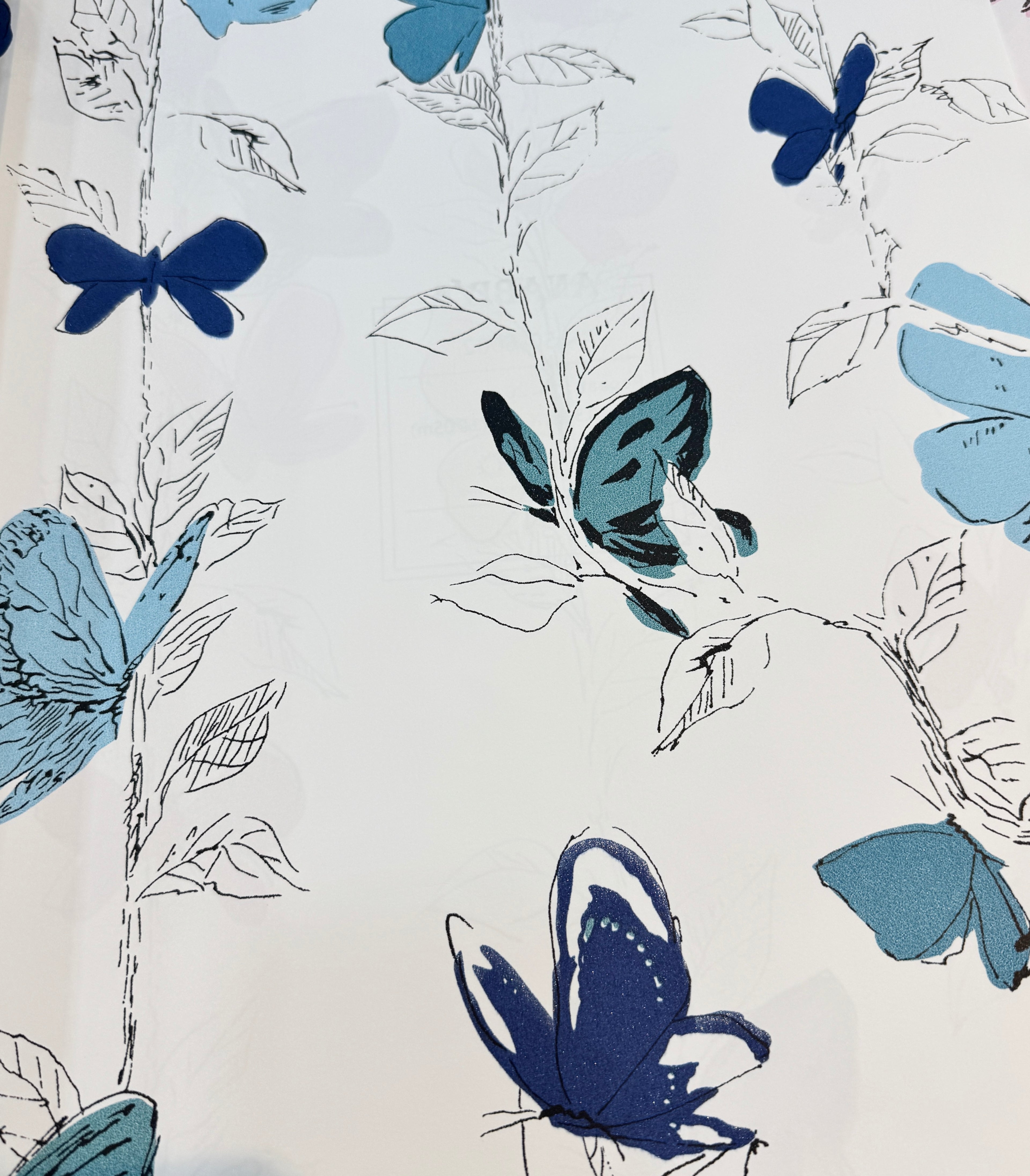 butterfly
