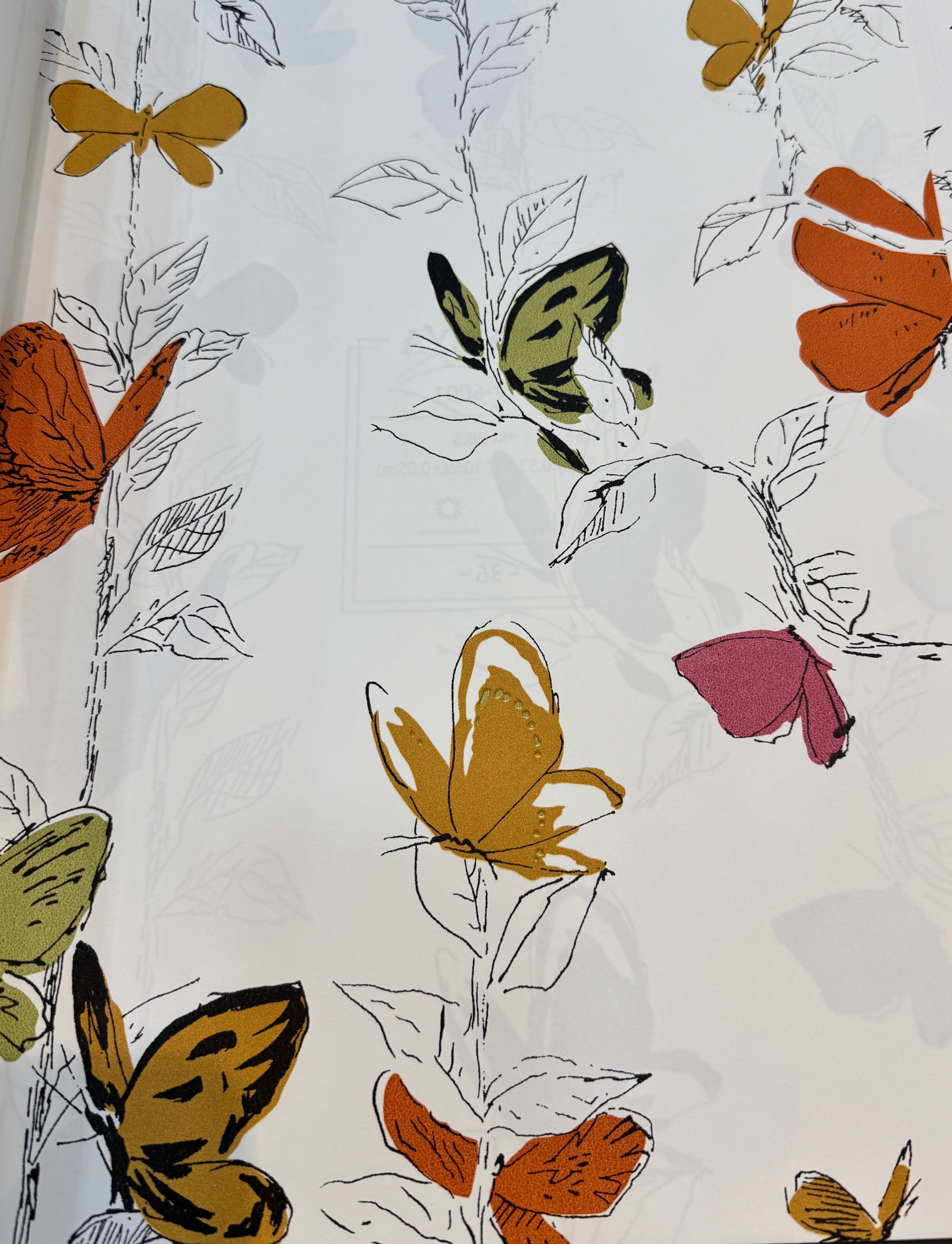 butterfly