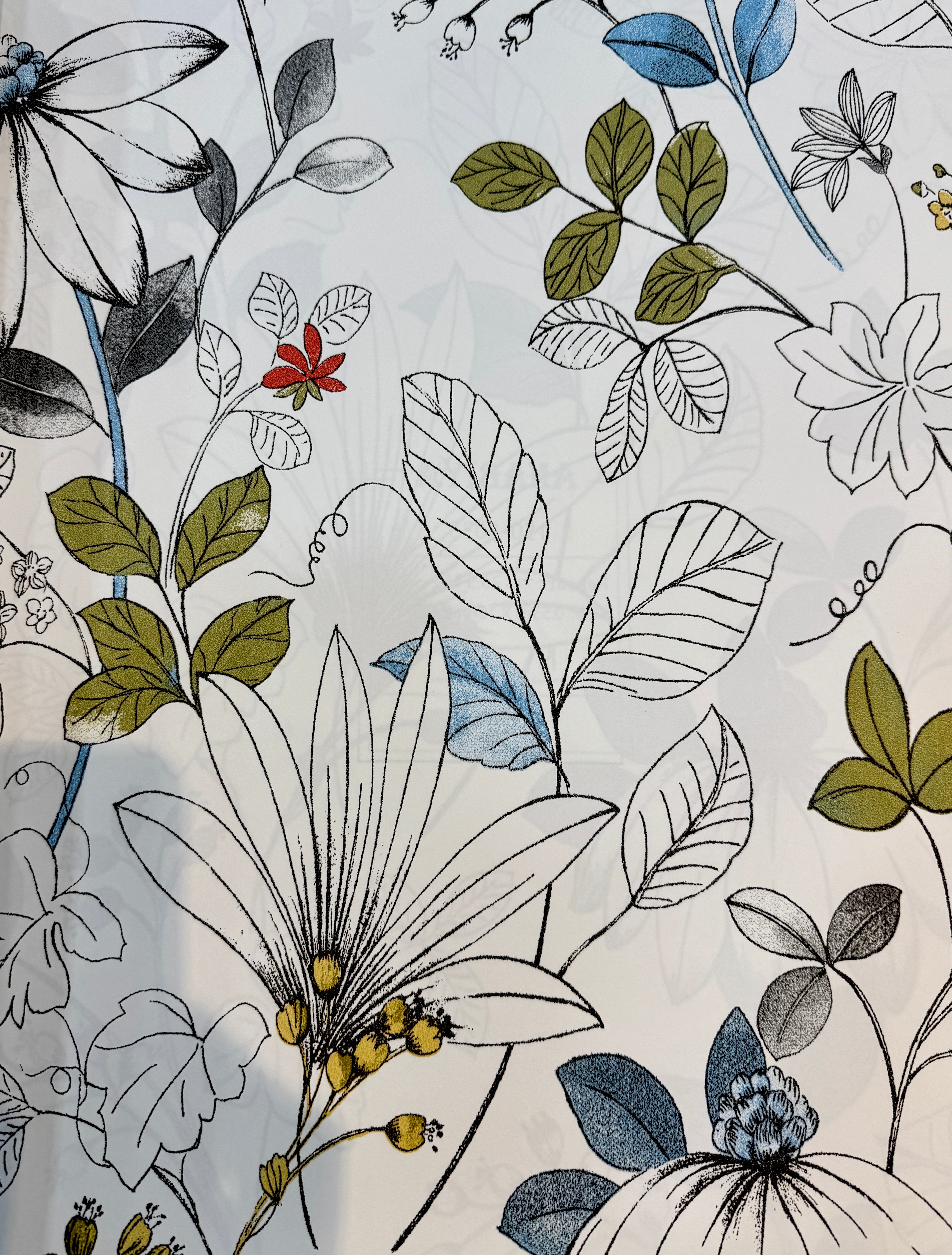 leaves