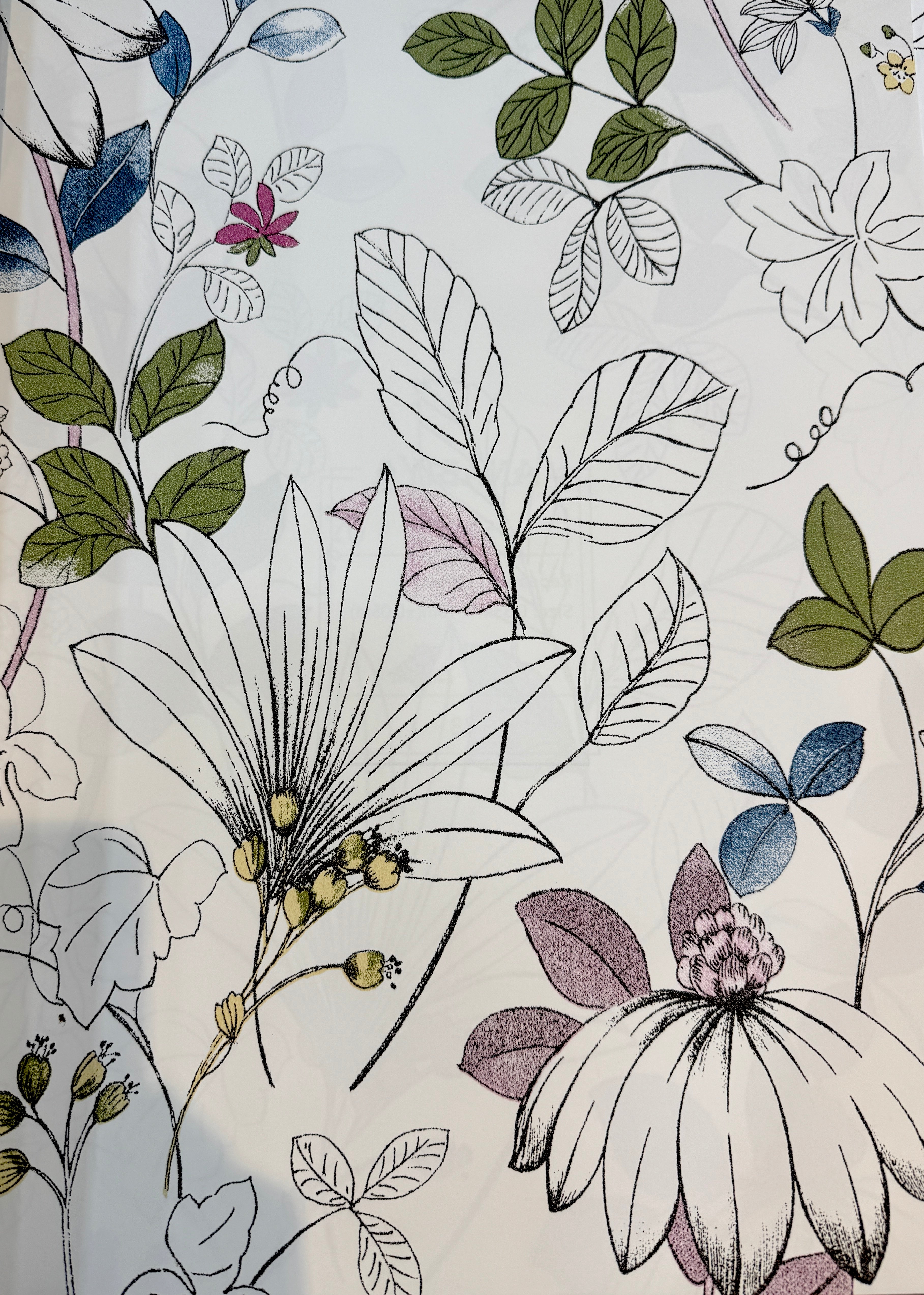 leaves