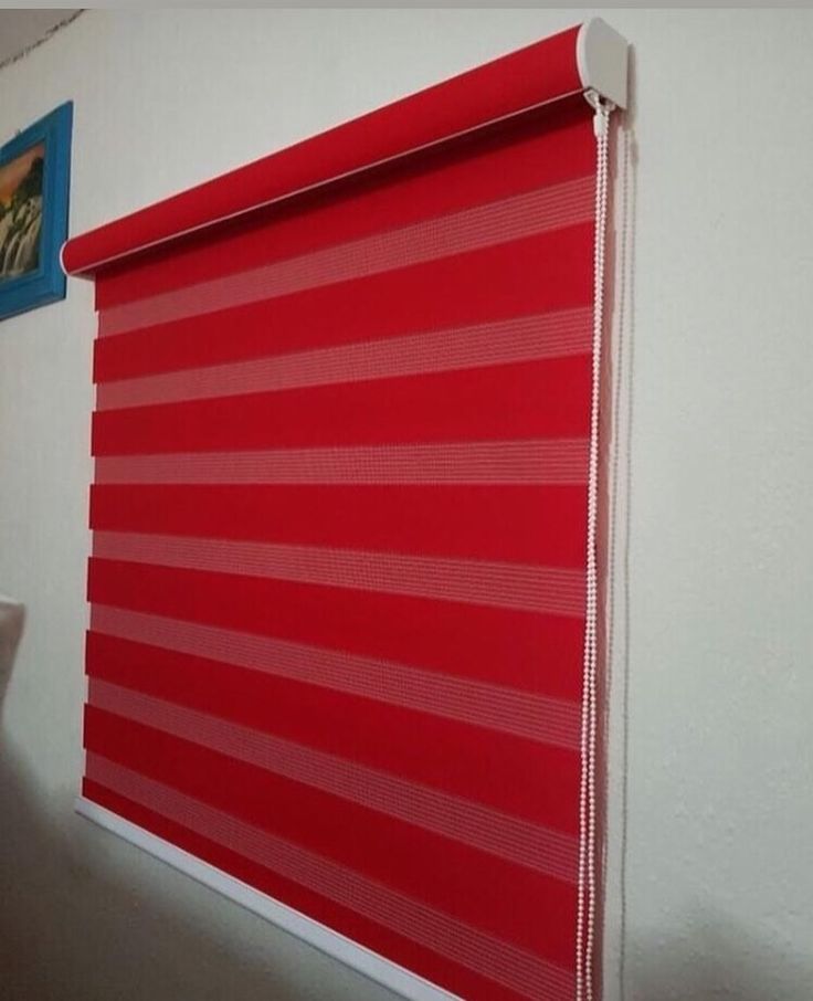 Zebra blind
