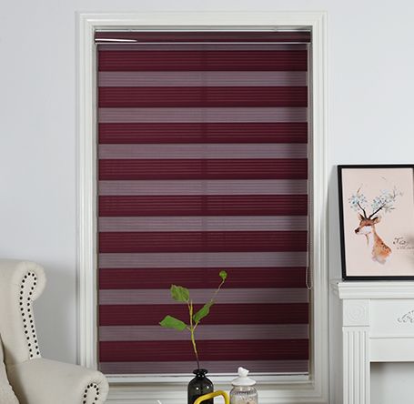 Zebra blind