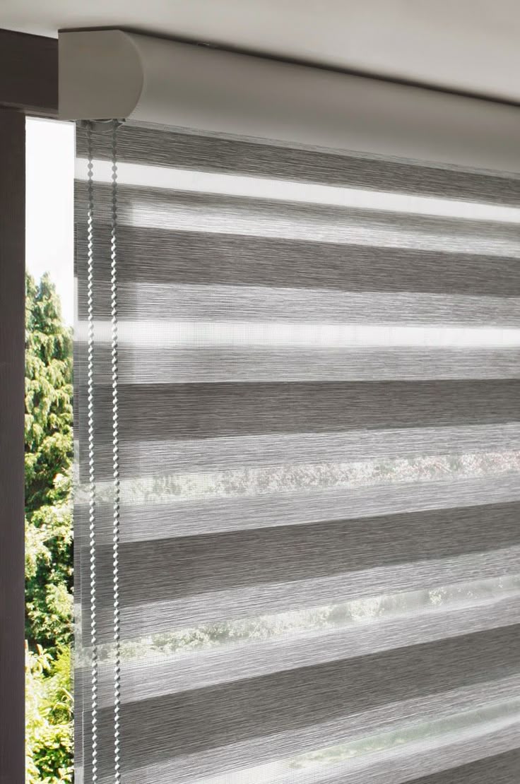 Zebra blind