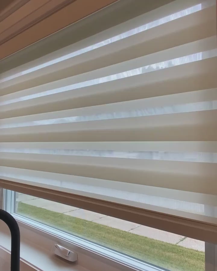 Zebra blind